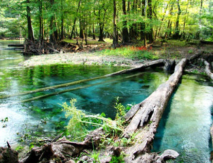 Collier-Seminole State Park: Explore Collier-Seminole State Park Florida